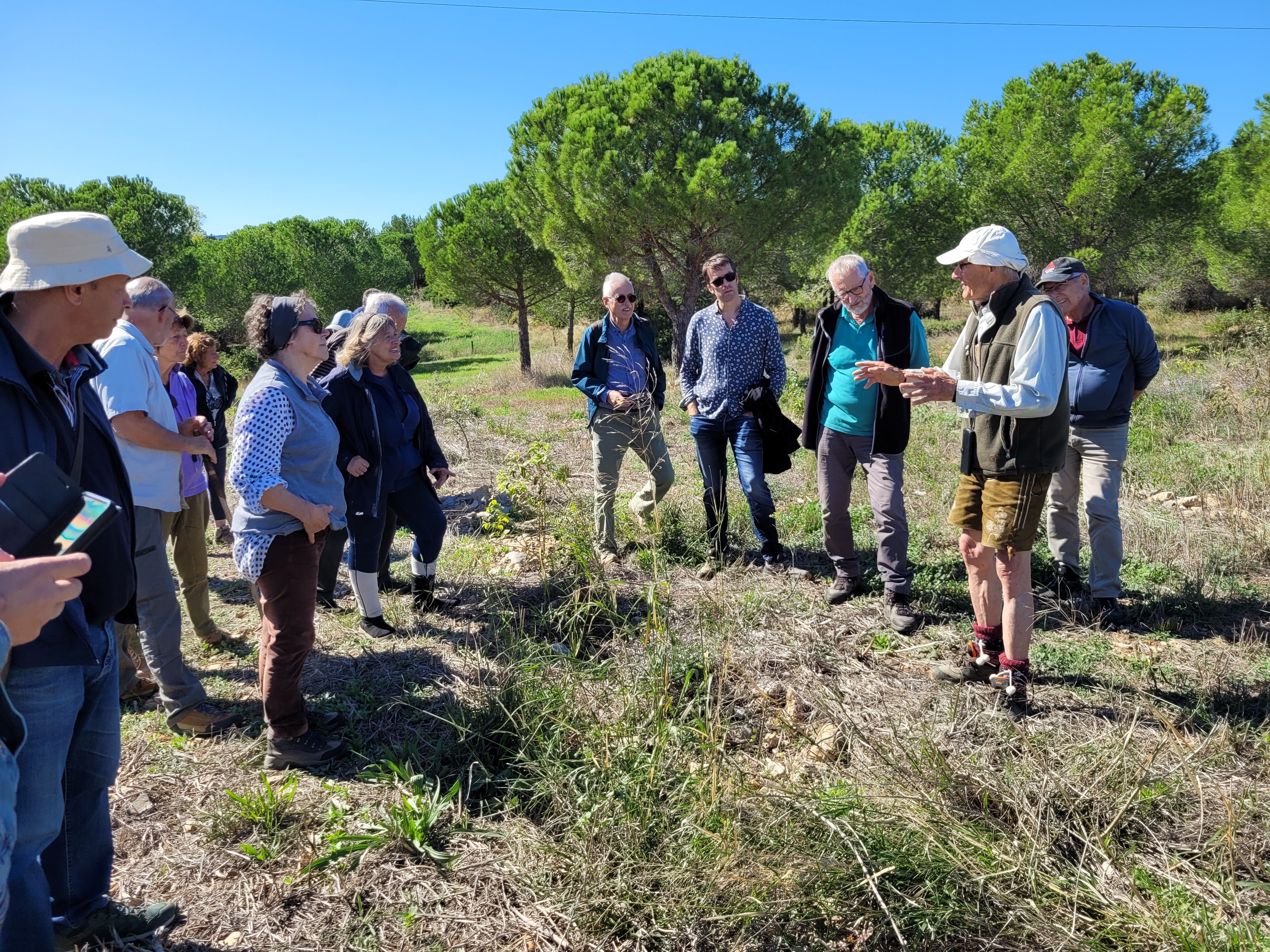 image Remontée écologique d'une forêt héraultaise en voie de désertification, grâce au reboisement