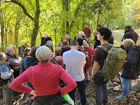 vignette Les champignons, ressource forestière