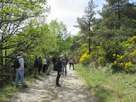 vignette Les arbres mellifères, produire du bois et du miel en Cévennes
