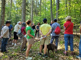 vignette Un siècle d'évolution de la forêt de Coupiac