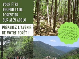 vignette Code de Bonnes Pratiques Sylvicoles : le GDF vous aide à gérer durablement vos forêts