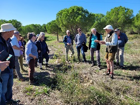 vignette Remontée écologique d'une forêt héraultaise en voie de désertification, grâce au reboisement